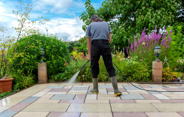 Best Driveway Pressure Washing  in Frenchtown, NJ