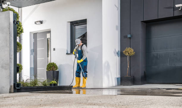 Best Paint Preparation  in Frenchtown, NJ